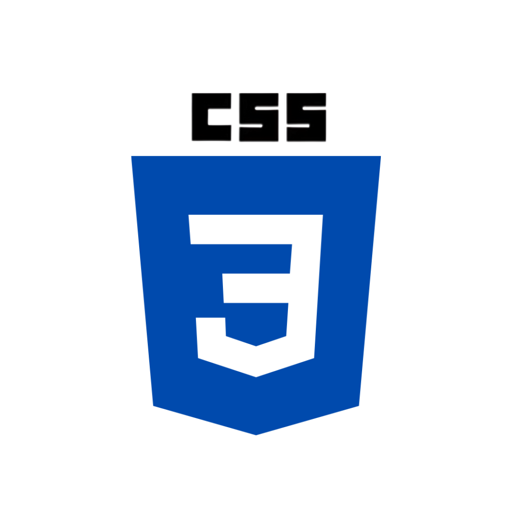 CSS Logo